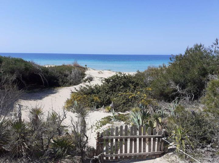 Casa vacanze Esclusiva Il Nido D'amore Sul Mare *
